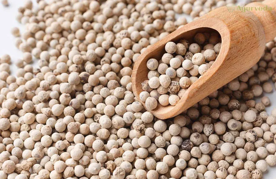 Unveiling the Hidden Gem: Exploring the Health Benefits and Culinary Wonders of White Pepper